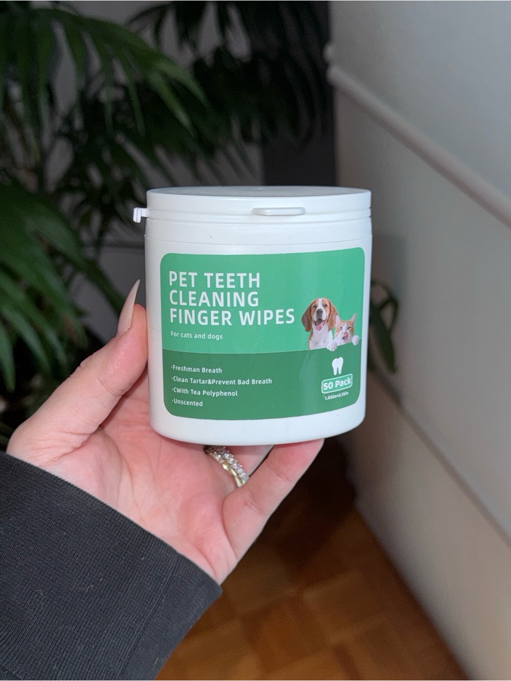 Pet Teeth Cleaning Finger Wipes - White Container with Green Label